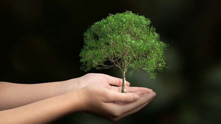 Guía Ilustrada para la gestión del Cambio Climático Publicación