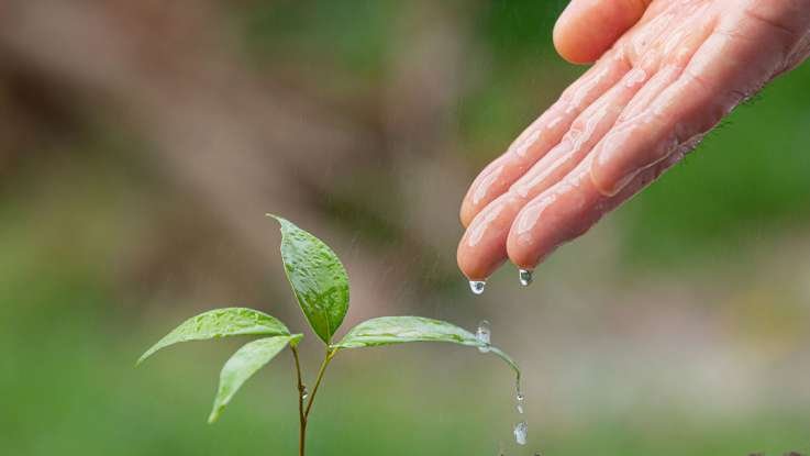 Más de 10.000 personas e instituciones hacen un llamado por una reactivación verde UN FUTURO MÁS JUSTO, SOSTENIBLE E INCLUSIVO PARA LATINOAMÉRICA