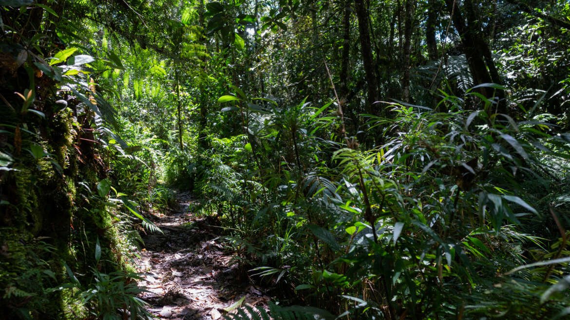 Fondos de Agua 2.0 Resilientes por el Agua  - Visita de campo - Colombia