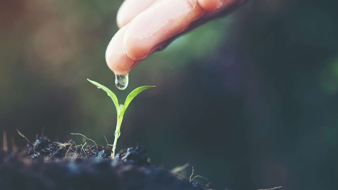 Webinar: ¿Qué significa Valorar el Agua en la práctica y por qué es importante para la Conferencia del Agua de Naciones Unidas? Institucional