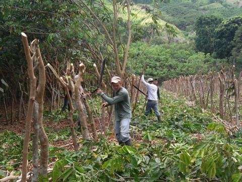 Lecciones para el GST: aprender de las y los pioneros locales en adaptación para mejorar la acción climática transformadora Proyecto CDKN