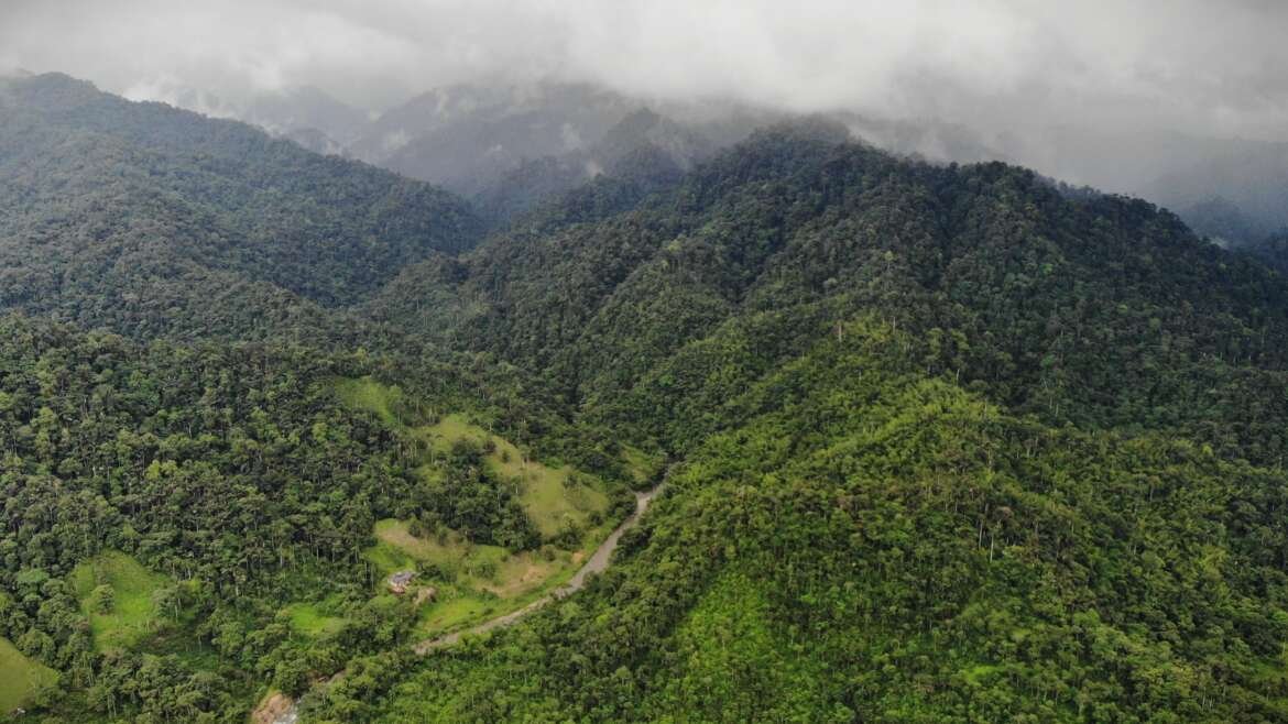 Uniendo fuerzas por el mejoramiento de la KBA Mashpi-Pachijal Proyecto CEPF