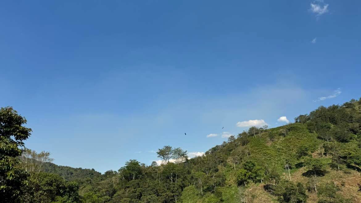Proyecto Manejo del Sistema Forestal fortalece el trabajo de bioemprendimientos en Ecuador Proyecto USFS