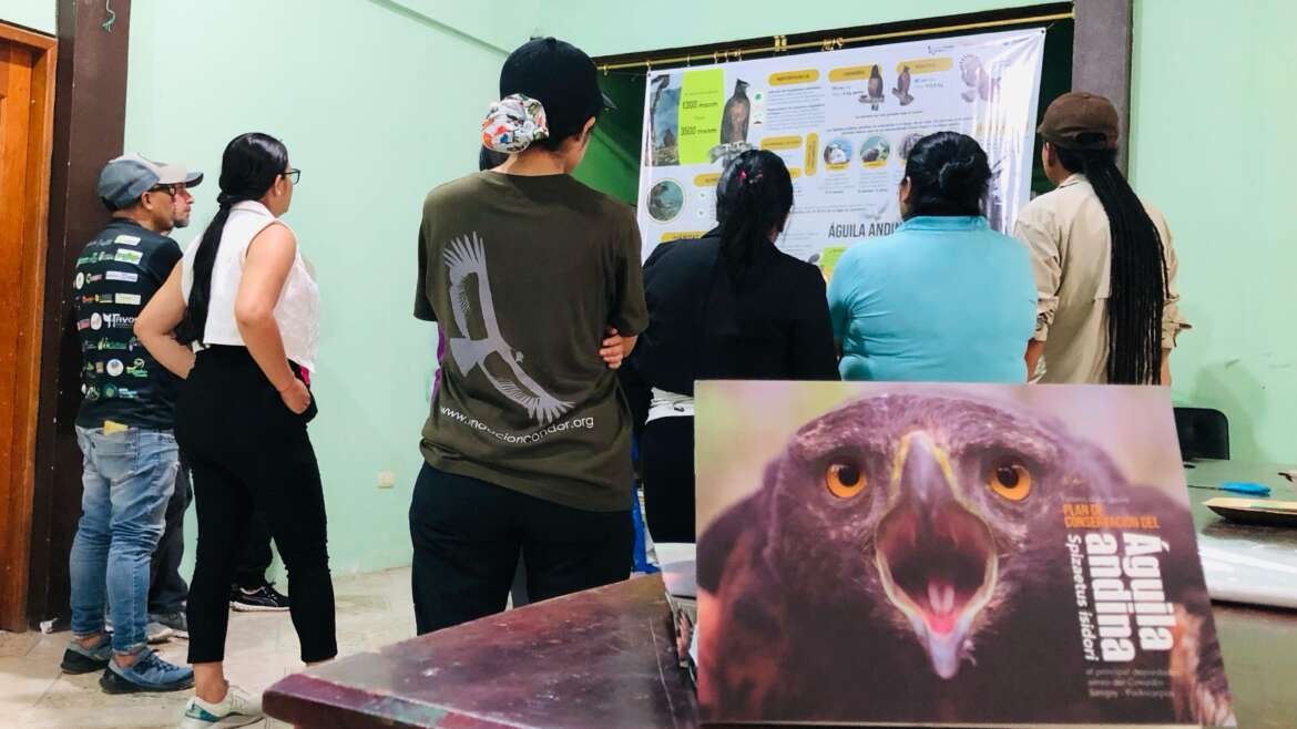 La primera herramienta de conservación para el Águila Andina Proyecto CEPF