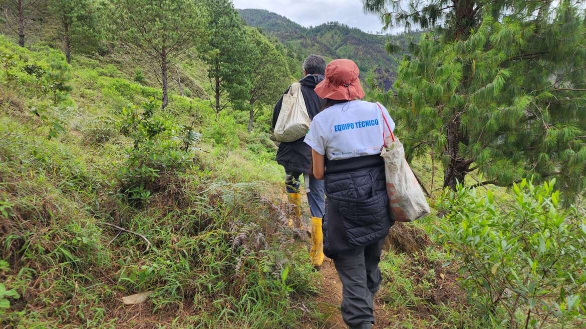 Mujeres lideran restauración de medios de vida y fuentes hídricas afectadas por los incendios forestales en el Parque Nacional Podocarpus y Bosque Protector Colambo Yauri Proyecto CEPF
