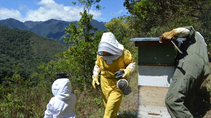 Conservando la biodiversidad de los Andes Tropicales del Ecuador Proyecto CEPF