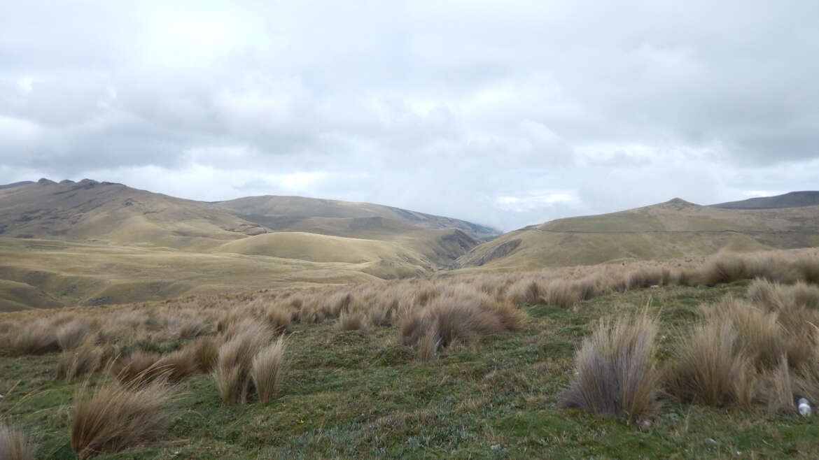 Proteger los páramos es proteger la vida: se aprueba la declaratoria del Área de Conservación y Uso Sustentable “YAKU ÑAN” Proyecto ACUS BYOS