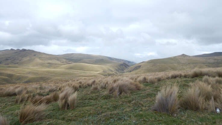 Proteger los páramos es proteger la vida: se aprueba la declaratoria del Área de Conservación y Uso Sustentable “YAKU ÑAN” Proyecto ACUS BYOS
