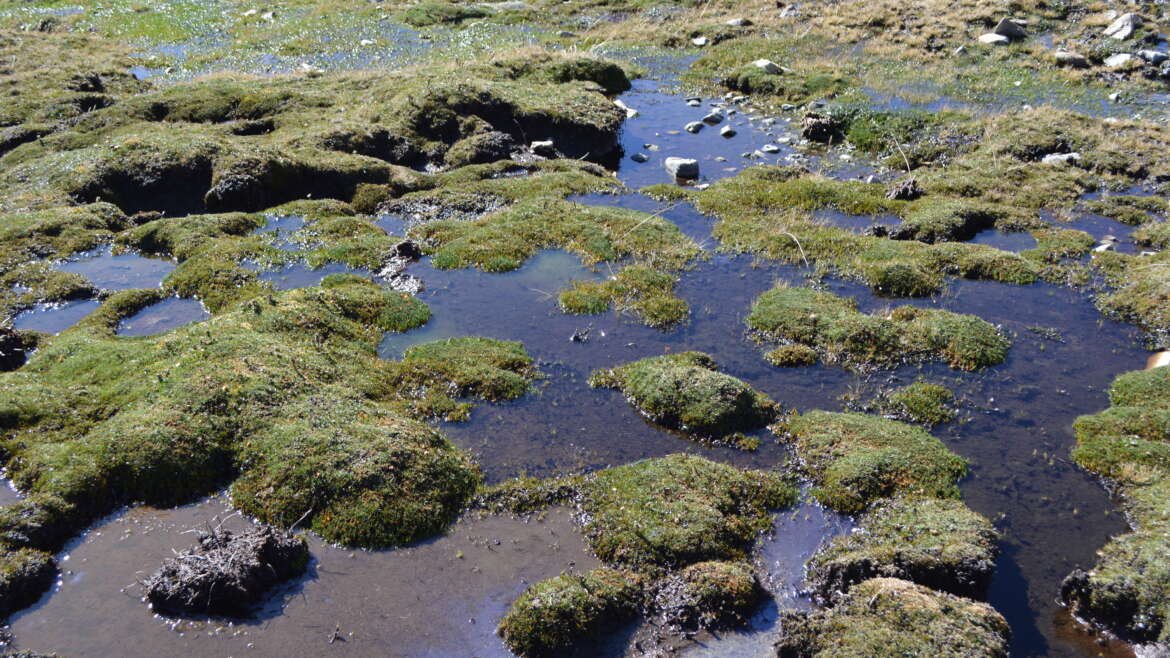 Escenarios Hídricos 2030 realizó ronda de encuentros con los equipos de las candidaturas presidenciales  Institucional