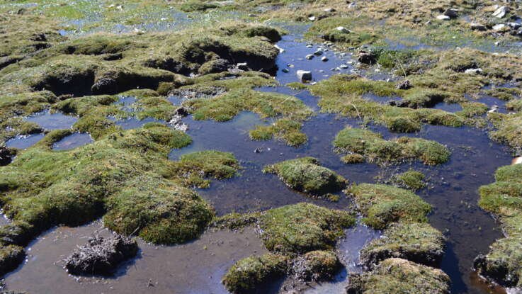 Escenarios Hídricos 2030 realizó ronda de encuentros con los equipos de las candidaturas presidenciales  Institucional