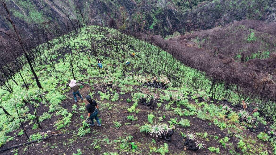 Conservar también es ampliar voces: comunidades y organizaciones fortalecen la biodiversidad con equidad de género en Ecuador Proyecto CEPF - GAC
