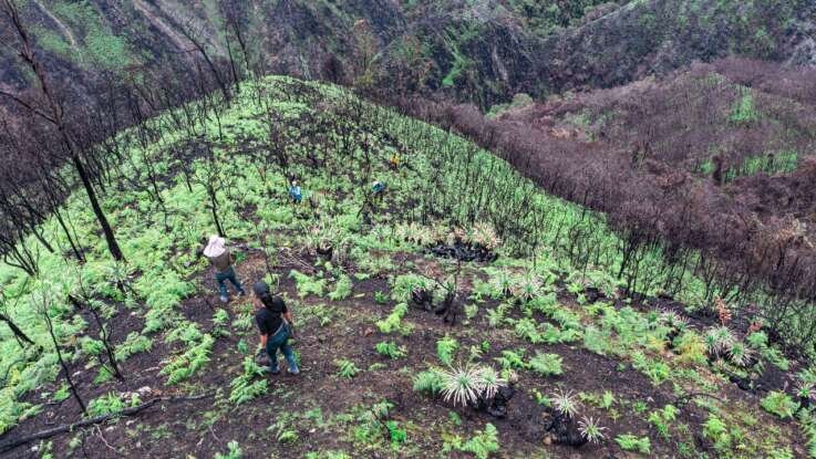 Conservar también es ampliar voces: comunidades y organizaciones fortalecen la biodiversidad con equidad de género en Ecuador Proyecto CEPF - GAC