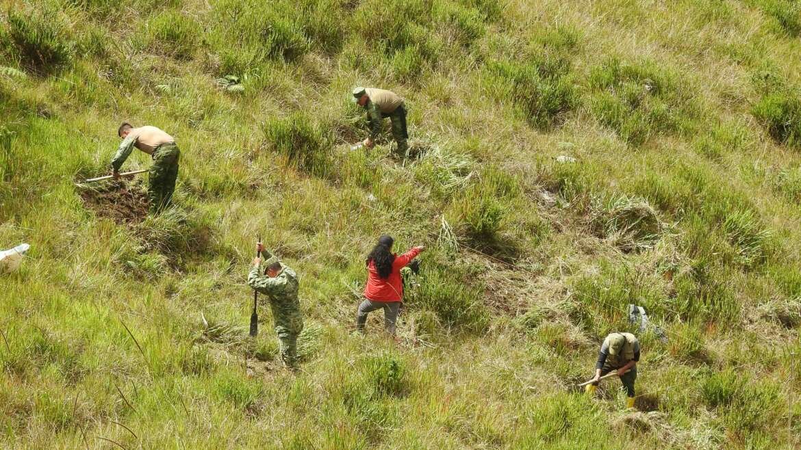 Restaurando el hogar de los anfibios amenazados en un hotspot de biodiversidad: avances en el Abra de Zamora Proyecto CEPF