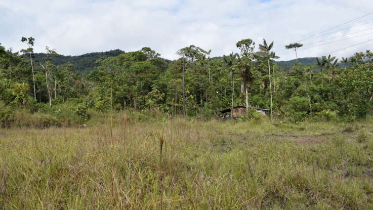 Comunidades Indígenas Awá fortalecen su territorio desde el liderazgo, la educación ambiental y la conservación del Katsa Su Proyecto CEPF